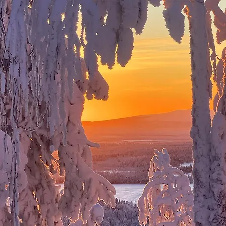 Διαμέρισμα Levistar311 Levi