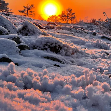 Levistar311 Apartmán