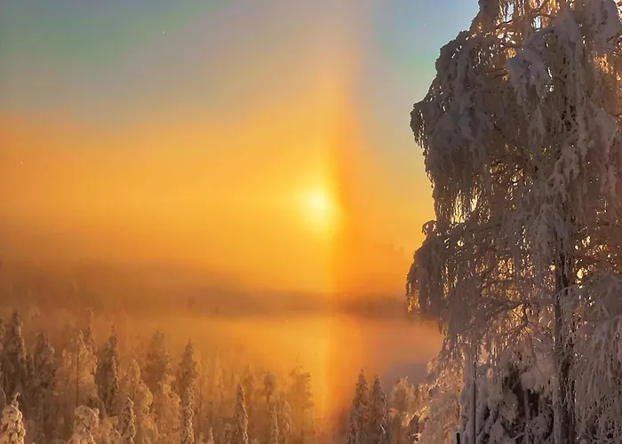 Levistar311 Apartmán *