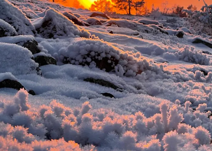 Levistar311 Διαμέρισμα